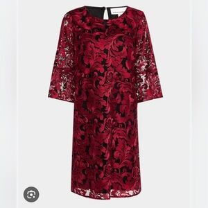 NWT Caroline Rose
Bella Soiree Embroidered Mesh Lace 3/4 Bell Sleeve Shift Dress